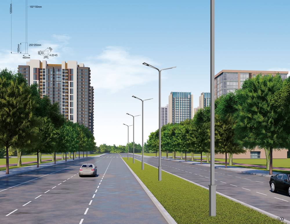 城市道路两侧的路灯与绿荫大道